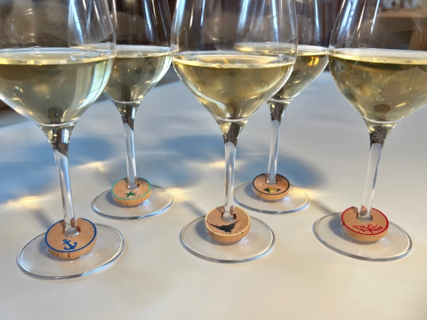 Verres collec Soleil